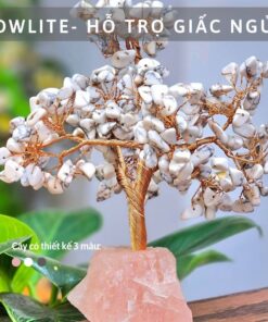 Cây Tài Lộc đá Bạch Tùng